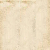 MARFIL / HUESO IVORY / BONE
