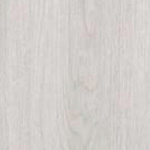 Olmo Bianco