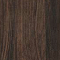 Olmo darK