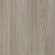 Olmo Grigio