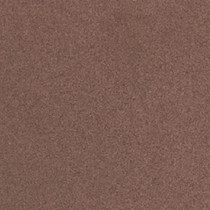 Arenaria LX34