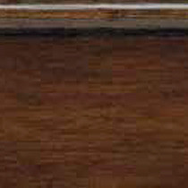 AVELLANA · HAZELNUT VXXX1A