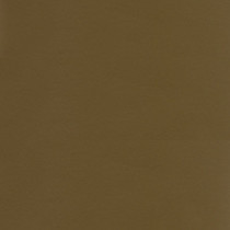 BRONCE BRONZE