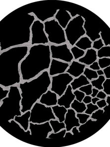 Итальянский ковер UMA - BLACK/GREY фабрики ROBERTO CAVALLI