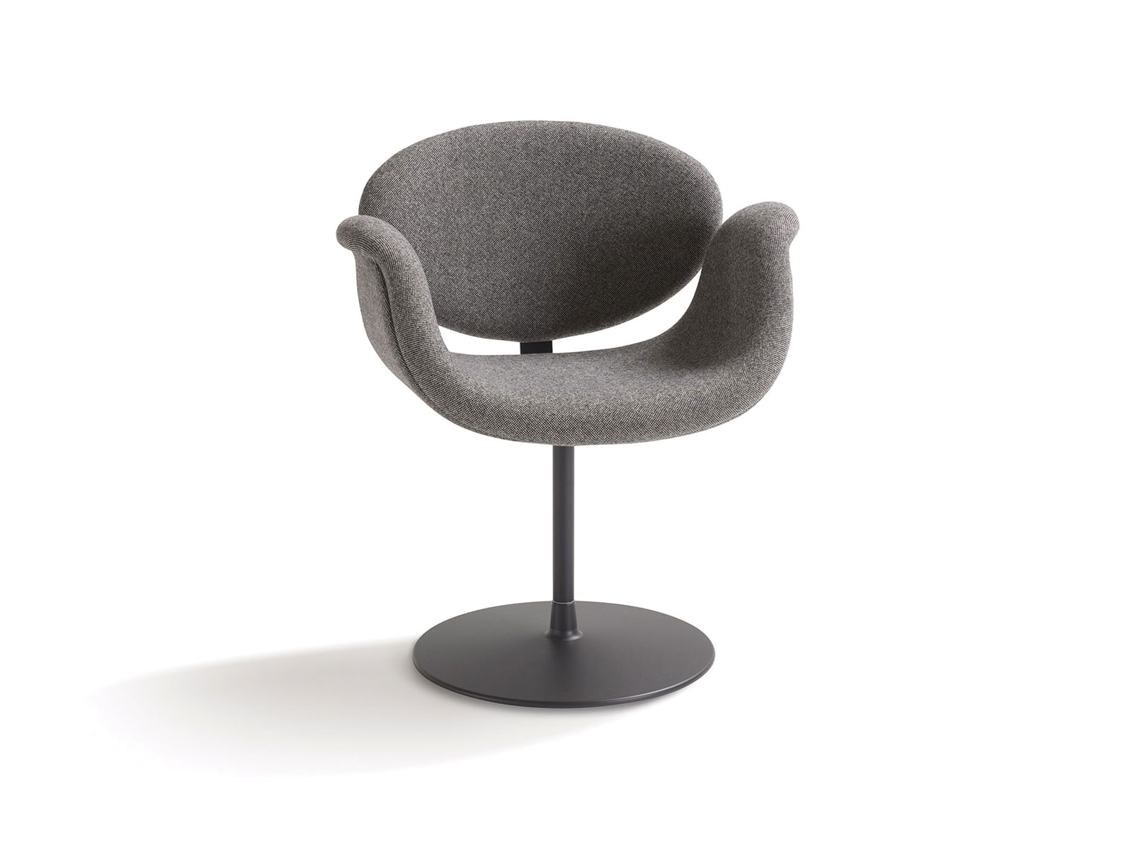 Tulip Chair Midi by Artifort