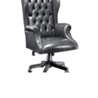Вращающееся кресло Elegant